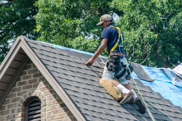 Best Local Roofing Companies  in Cridersville, OH